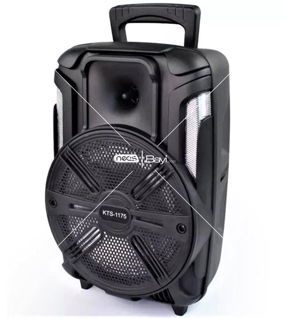 KTS-1175 8'' Wireless Speaker