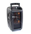 KTS-1175 8'' Wireless Speaker