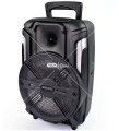 KTS-1175 8'' Wireless Speaker