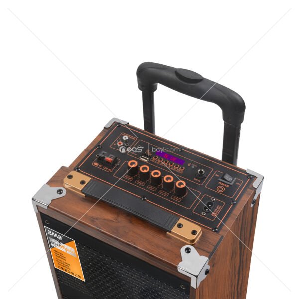 DJ Karaoke Set 8'' Subwoofer Ses Sistemi KH-405