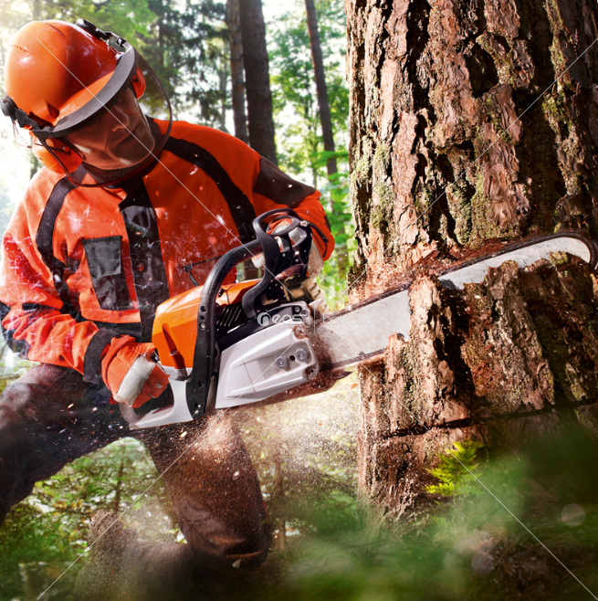 MAXSTAR TT-5200 52 Cc Benzinli Ağaç Odun Dal Kesme 45 Cm Testere