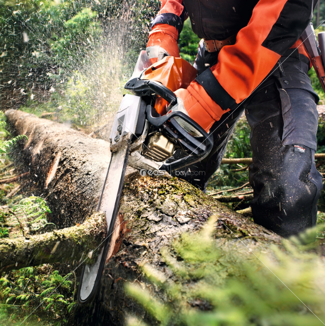 MAXSTAR TT-5200 52 Cc Benzinli Ağaç Odun Dal Kesme 45 Cm Testere