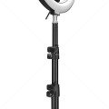 Asonic AS-SF200 10 inç 120 cm Tripodlu Telefon Tutuculu Youtuber Makyaj Halka LED Işık